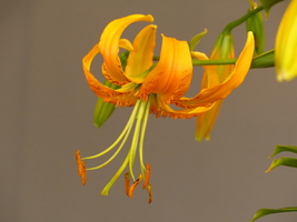 Foto: Dr. Peter Müller